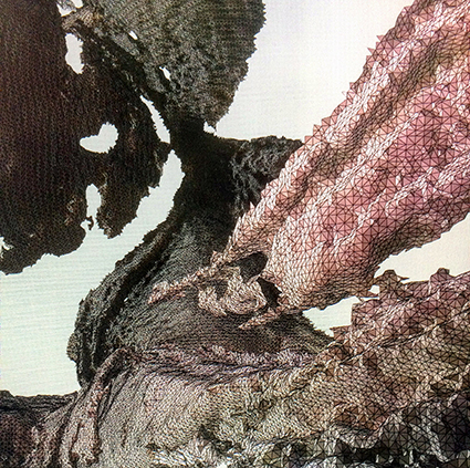 Interrupted 3D scan by artist Paul Coombs